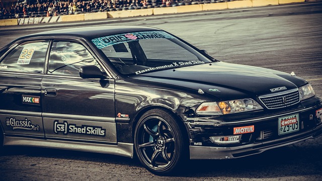 了现场观众 了现场观众