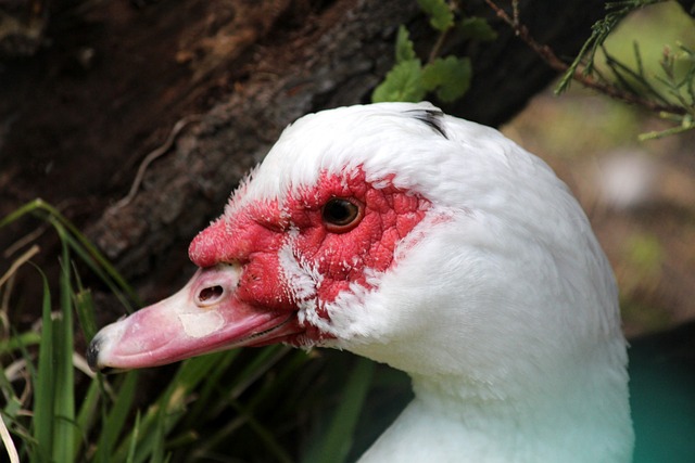 执行力推向 执行力推向